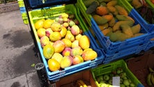 Imagem de Procura por produtos biológicos aumenta na Madeira