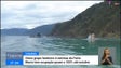Imagem de Único hotel de 4 estrelas do Porto Moniz está com ocupação quase a 100% até outubro (vídeo)