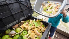 Imagem de PAN: desperdício alimentar é um problema a combater