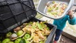 Imagem de PAN: desperdício alimentar é um problema a combater