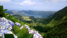 Imagem de Covid-19: Açores sem novos casos nas últimas 24 horas