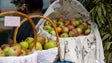 Imagem de Vinte e seis variedades de frutas regionais incluídas no registo nacional de variedades fruteiras (áudio)