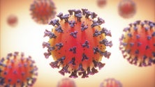 Imagem de Apelo para que cidadãos pensem nas repercussões da Covid