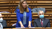 Imagem de PSD Madeira vota favoravelmente as propostas (vídeo)
