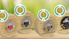 Imagem de Queijo de São Jorge conquista medalha de ouro (Vídeo)