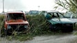Imagem de Zero quer saber destino de quase 50 mil carros em final de vida