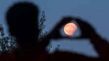 Imagem de Esta noite há superlua cor-de-rosa (Áudio)