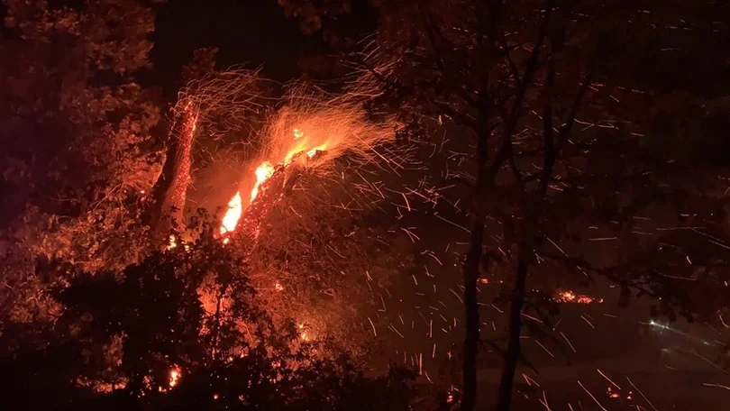 Incêndios: Madeira registou 154 fogos rurais desde 1 de junho