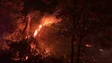 Incêndios: Madeira registou 154 fogos rurais desde 1 de junho