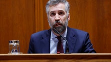 Imagem de Intenção de reprivatizar a TAP «já foi sinalizada ao mercado»