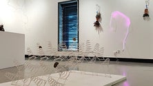 Imagem de Paulo Ávila Sousa expõe no Instituto Açoriano de Cultura (Vídeo)