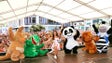 Imagem de Banda do Panda anima Ribeira Brava