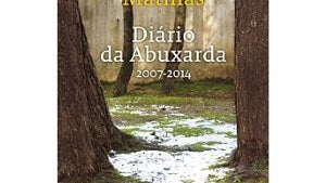 Imagem de Um Livro de Paixões: a escrita diarista no seu melhor  por Diniz Borges