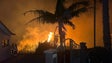 Imagem de Chamas não deixam a Ponta do Pargo dormir (vídeo)