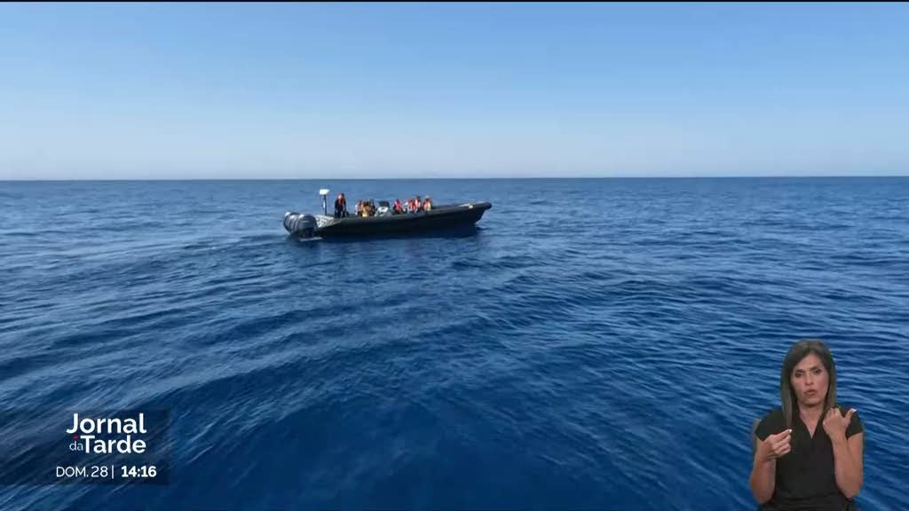 De volta ao mar. Tartarugas marinhas regressam a casa após internamento