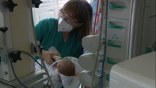 Imagem de Madeira regista o nascimento 100 bebés prematuros (vídeo)