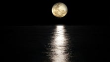 Imagem de Esta noite há uma super lua cor-de-rosa (Vídeo)