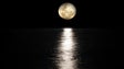Imagem de Esta noite há uma super lua cor-de-rosa (Vídeo)