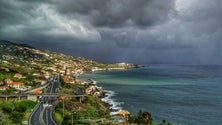 Imagem de Madeira com árvores caídas e condicionamentos no aeroporto