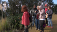 Imagem de Querida Natureza promove visita ao Cabo Girão (vídeo)