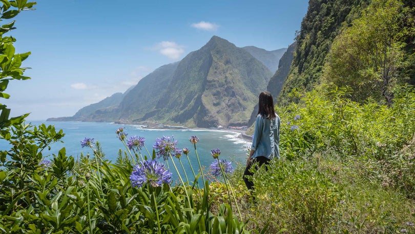 Números do turismo na Madeira continuam em alta