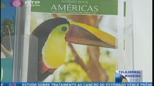 Imagem de Falta de voos diretos para a Madeira leva emigrantes na Venezuela a procurar alternativas (Vídeo)