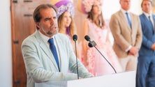 Imagem de Albuquerque diz que quem tem de decidir é ele e mais ninguém (vídeo)