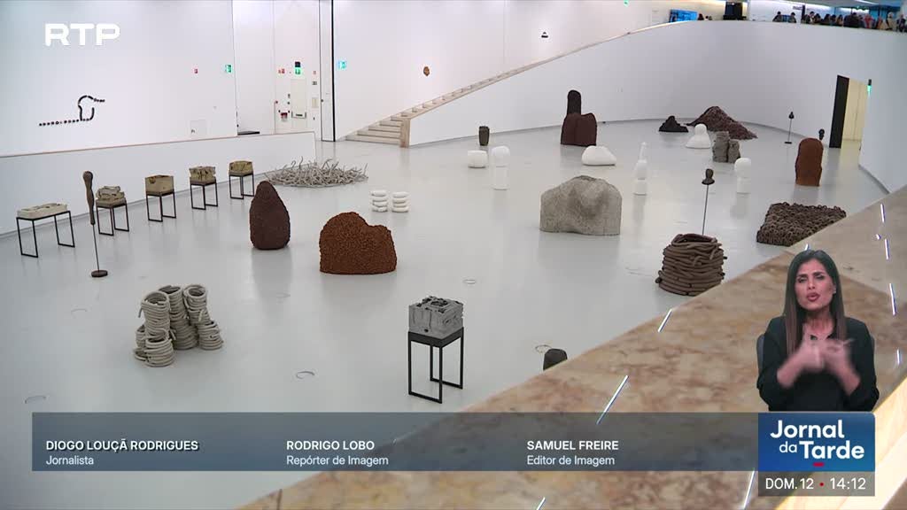 Anna Maria Maiolino apresenta em Lisboa uma das maiores exposições da carreira