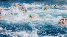Imagem de Madeira Island Ultra Swim: Vários nadadores preparam prova de 30km que liga a Calheta ao Funchal (Vídeo)