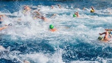 Madeira Island Ultra Swim: Vários nadadores preparam prova de 30km que liga a Calheta ao Funchal (Vídeo)