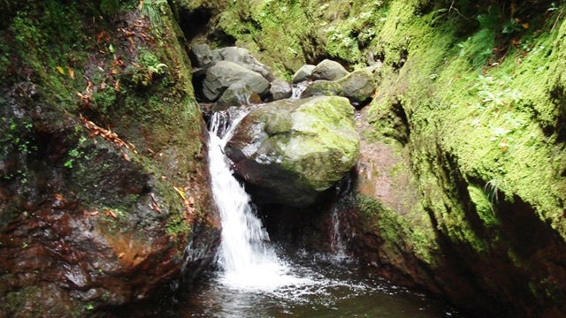 Imagem de Derrocada encerra levada Fajã Rodrigues