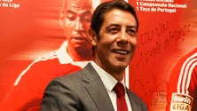 Imagem de Rui Costa eleito para a administração da Associação Europeia de clubes