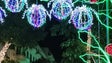 Imagem de Iluminação na Rua Dr. Fernão Ornelas foi desenhada pela escultora Manuela Aranha (vídeo)