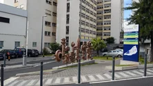 Imagem de Madeira regista mais duas mortes por Covid-19