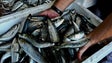 Portugal alcança resultado bastante favorável nas quotas de pesca