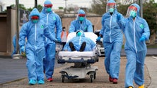 Imagem de Covid-19: Alemanha conta 340 casos num dia e Baviera reforça testes após novo surto