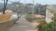 Imagem de Extintos todos os incêndios que estavam ativos na Madeira (áudio)