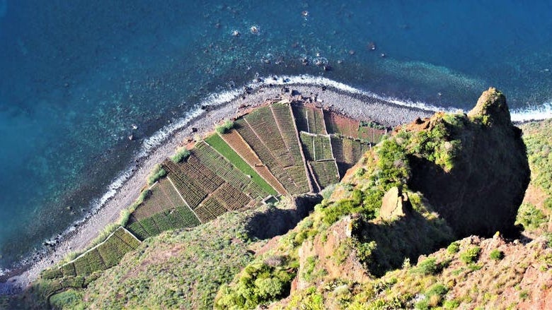 Projeto GIRO selecionado para participar no Encontro Nacional de Ecologia