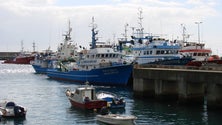 Imagem de Covid-19: Barco em quarentena no Porto do Caniçal (Áudio)