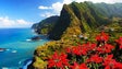 Imagem de Madeira na corrida para melhor Destino Insular da Europa (vídeo)