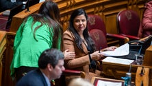 Imagem de Deputada única do PAN vai abster-se na generalidade