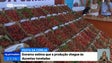 Cereja produzida na Madeira pode atingir as 200 toneladas este ano