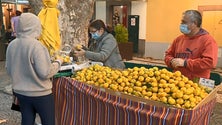 Imagem de Noite do Mercado de Machico (vídeo)