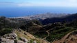 Câmara do Funchal investe 2 milhões de euros na reflorestação