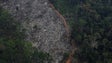 França propõe um fundo internacional para a Amazónia