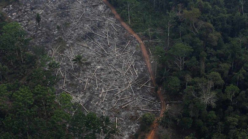 Imagem de França propõe um fundo internacional para a Amazónia