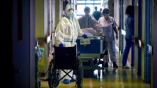 Imagem de Mais 19 mortes e menos internados