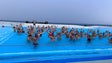 Primeiro mergulho do ano levou 170 banhistas ao Lido (áudio)