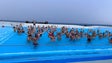 Imagem de Primeiro mergulho do ano levou 170 banhistas ao Lido (áudio)