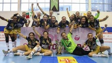 Imagem de Madeira Andebol joga na Europa (vídeo)